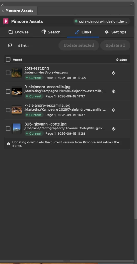 Panel in InDesign, Reiter Links: platzierte Pimcore-Assets mit ihrem Status