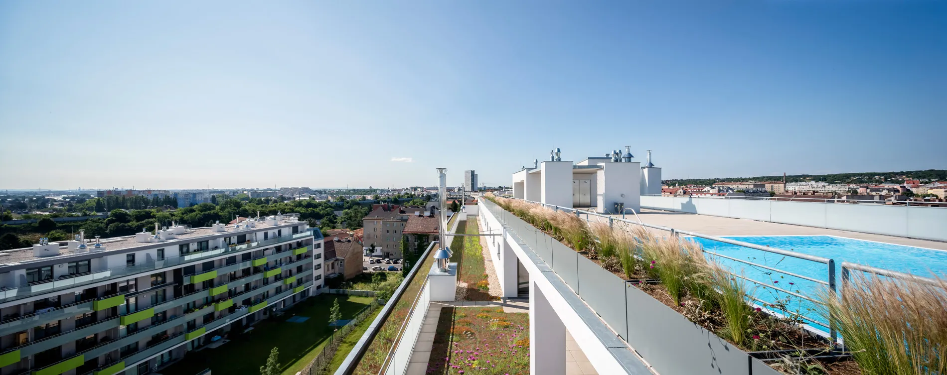 Begrünte Dachterrasse mit Pool über der Stadt